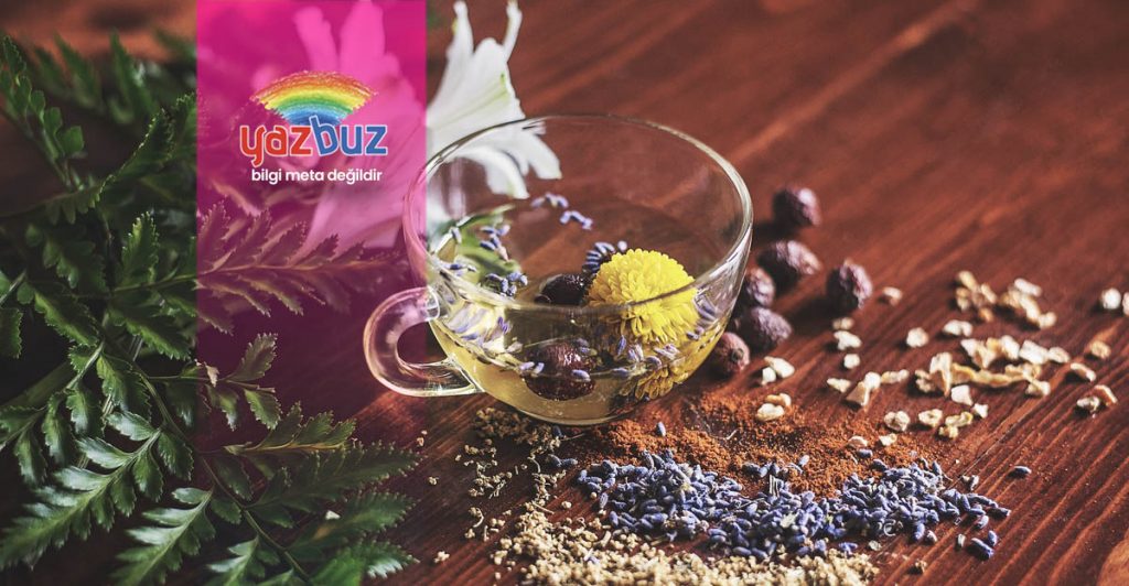 Kış Çayı Malzemeleri ve Kış Çayının İçindekiler Nelerdir?