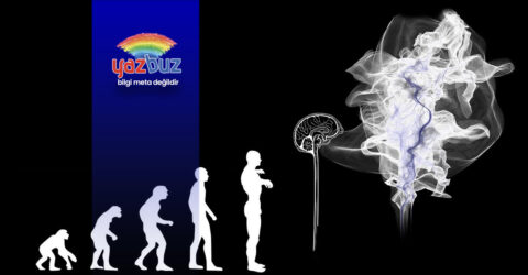 Evrim Teorisi Nedir?