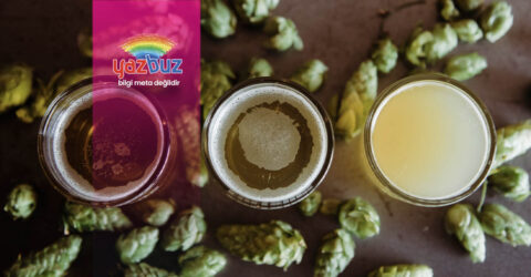 İçimi En Güzel Biralar