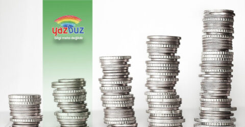 Türk Lirası Neden Değer Kaybetti?