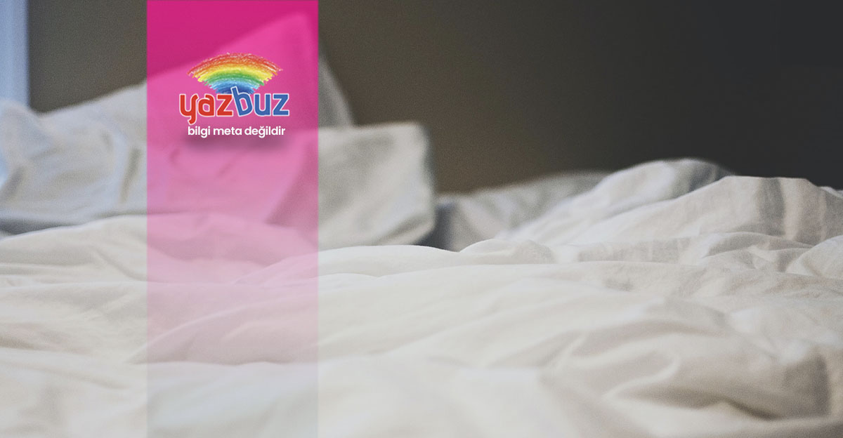 Yatak Biti Nedir? Yatak Biti Nasıl Yok Edilir? YazBuz Bilgi Meta
