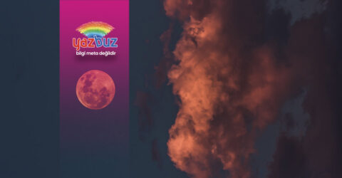 Noktürnal Ne Demek?