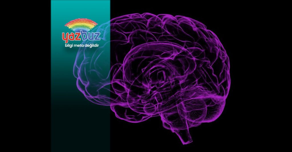 Beyin Ölümü ve Koma Arasındaki Fark