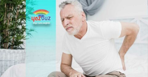 Hemoroid Şişliği Nasıl İner?