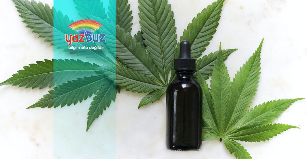 Kenevir Yağı Kanser Tedavisinde Nasıl Kullanılır?