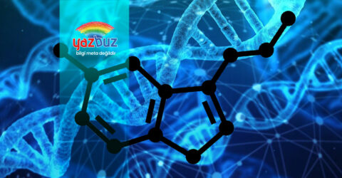 Serotonin (Mutluluk Hormonu) Nedir?