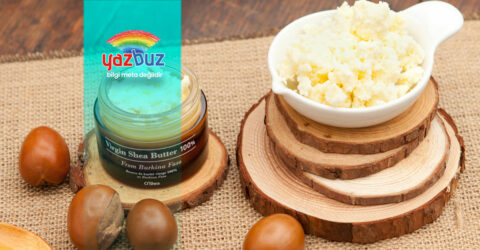 shea yağı nedir
