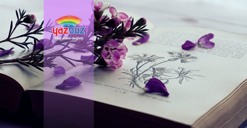 en iyi aşk romanları