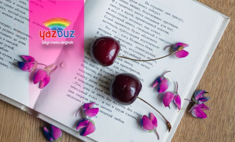 en iyi aşk romanları