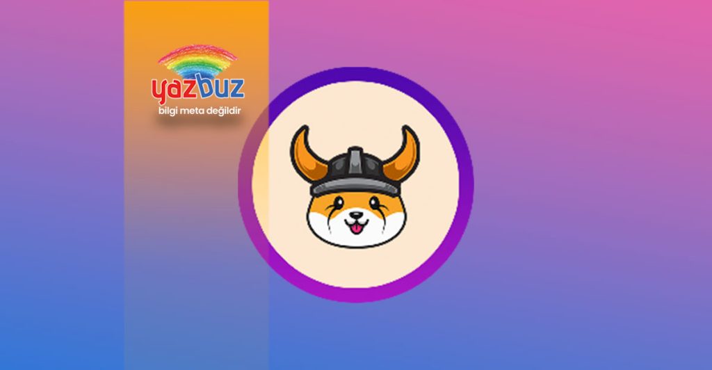 Floki Coin Nedir? Nereden Alınır?