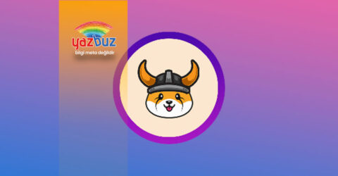 Floki Coin Nedir? Nereden Alınır?