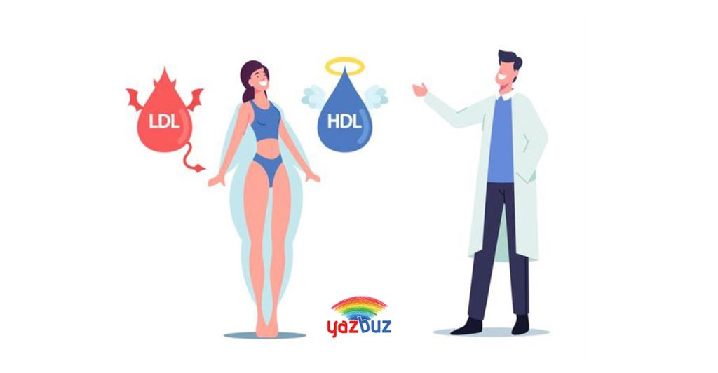 HDL, LDL ve VLDL Nedir?