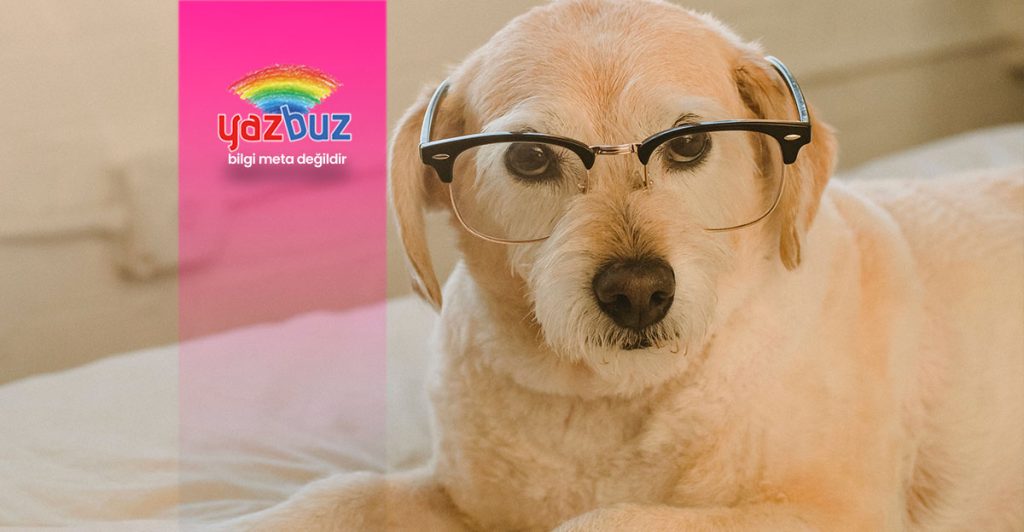 Yüz şekline göre gözlük seçimi nasıl olmalı