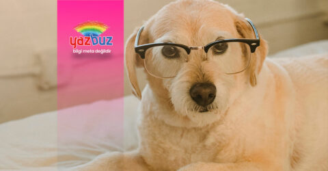 Yüz şekline göre gözlük seçimi nasıl olmalı