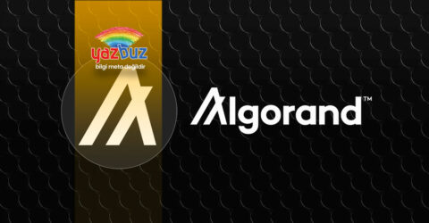 Algorand Coin Nedir? Algorand Coin Geleceği Nasıl?