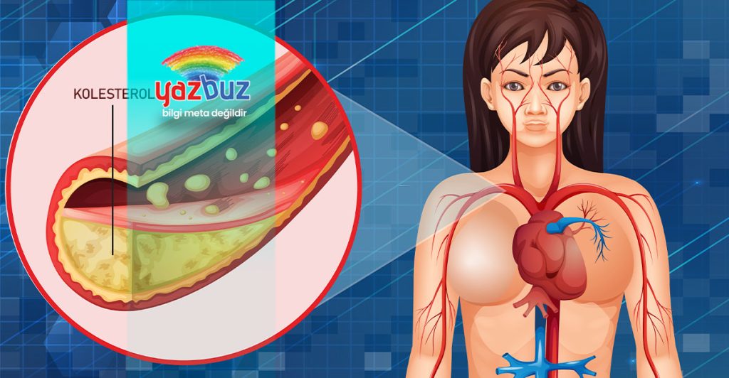 Kolesterol nedir?