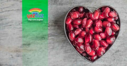 Nar hangi mevsimde yetişir?