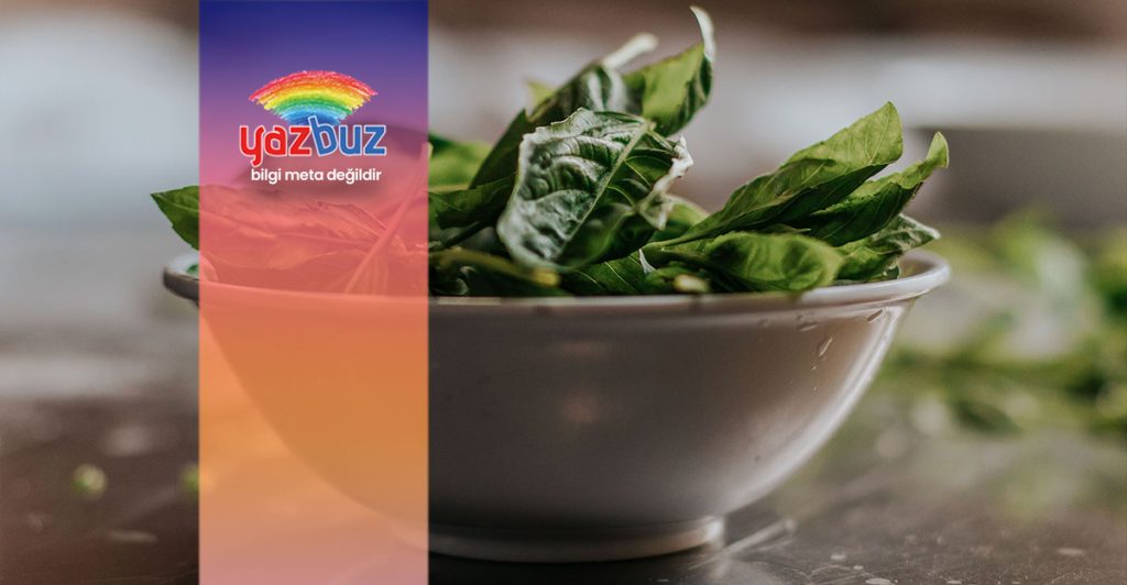 Ispanak Demir Deposu mu