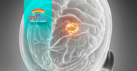 İyi huylu ve kötü huylu tümör arasındaki fark nedir? Detaylar yanımızda...