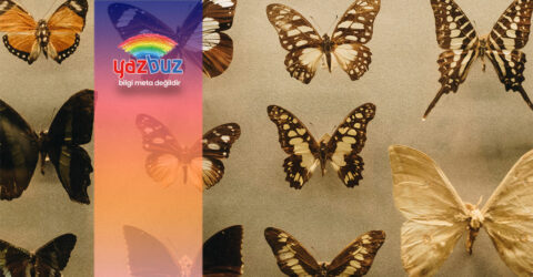 Şehir efsaneleri dizimizin bir diğer konusu; kelebeğin ömrü gerçekten bir gün mü?