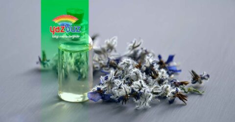 Tıbbi aromatik bitkiler