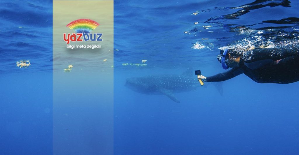 köpek balığı filmleri