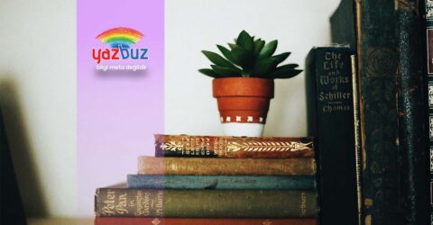 Toplumcu Gerçekçi Roman Özellikleri ve Temsilcileri