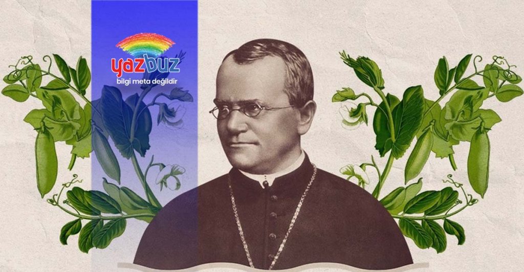 Biyolojide Kontrol Çaprazlaması Nedir?