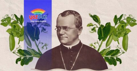 Biyolojide Kontrol Çaprazlaması Nedir?