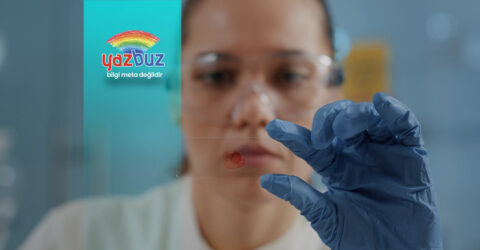 Biyolojik Birikim Nedir