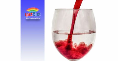 Kolaylaştırılmış difüzyon nedir?