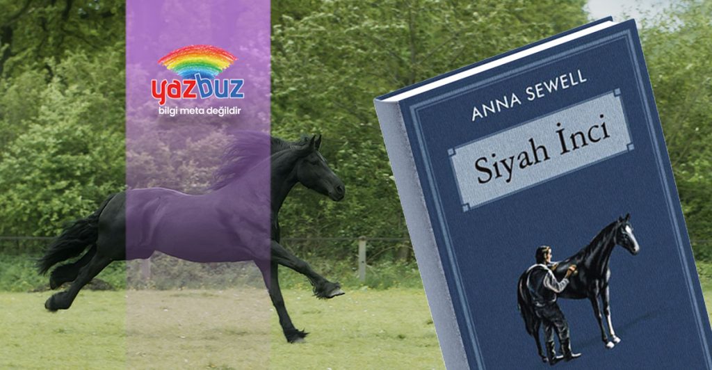 Siyah İnci Kitap Özeti
