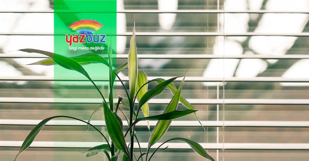 Bambu neden sararır?