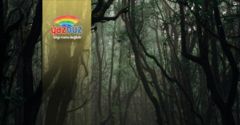 Orman Temalı Filmler