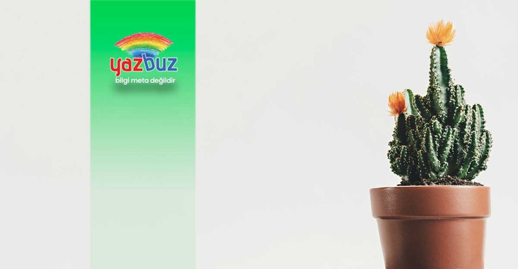 Yılan kaktüs ne zaman çiçek açar?