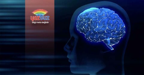 Gestalt terapi nedir