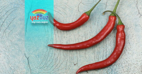 acı biber neden ishal yapar