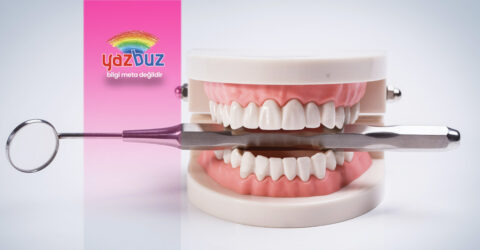 Kemik tozu ne işe yarar