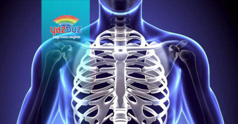 Kaburga ezilmesi ne kadar sürede iyileşir