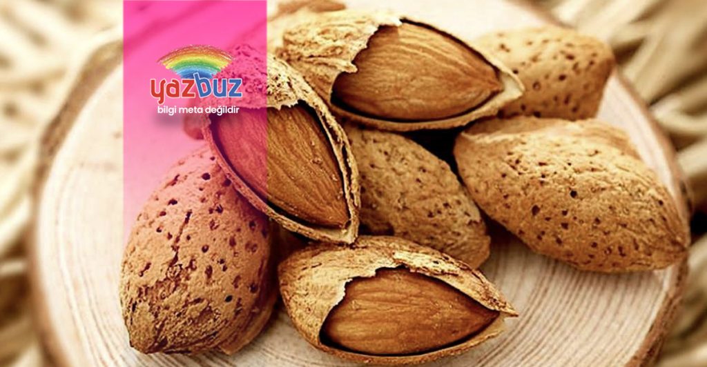 Badem kabuğu ne işe yarar