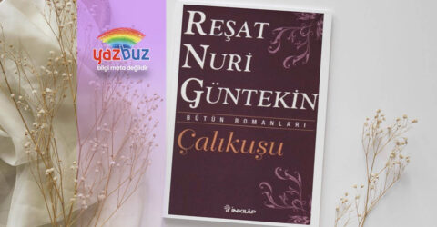 Çalıkuşu özet
