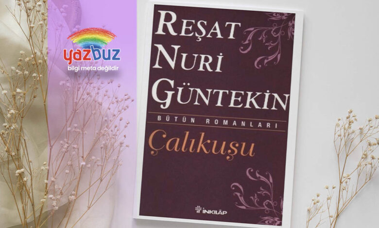 Çalıkuşu özet