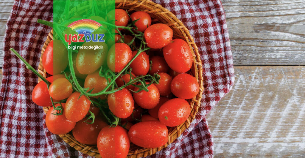 Domates Yaprak Budaması Ne zaman yapılır