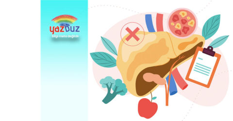 Karaciğer kireçlenmesi neden olur