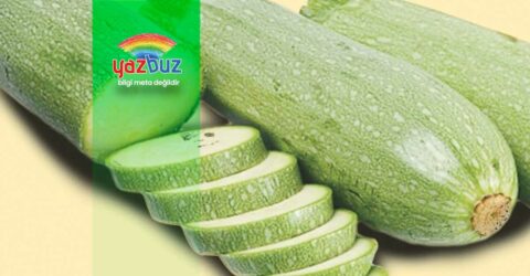 Kabak Tohumu Ne Zaman Ekilir? Nasıl Ekilir?