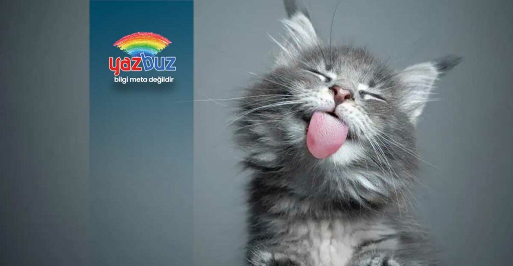 Kediler Neden Dilini Dışarı Çıkarır?