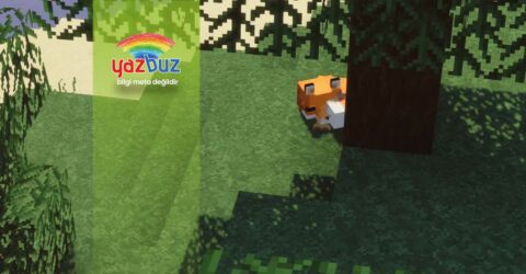 Minecraft Tilki Ne Yer? Nasıl Evcilleştirilir?
