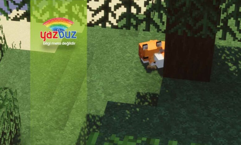 Minecraft Tilki Ne Yer? Nasıl Evcilleştirilir?