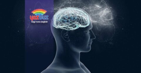 Bilgi Bilinç ve Öz Bilinç Nedir? 