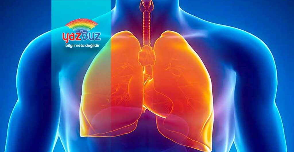 Agonal solunum nedir?